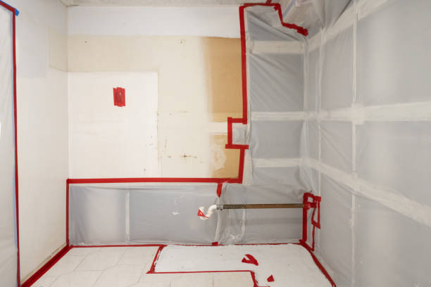 Mold Documentation for Insurance Claims in Fishhook, AK