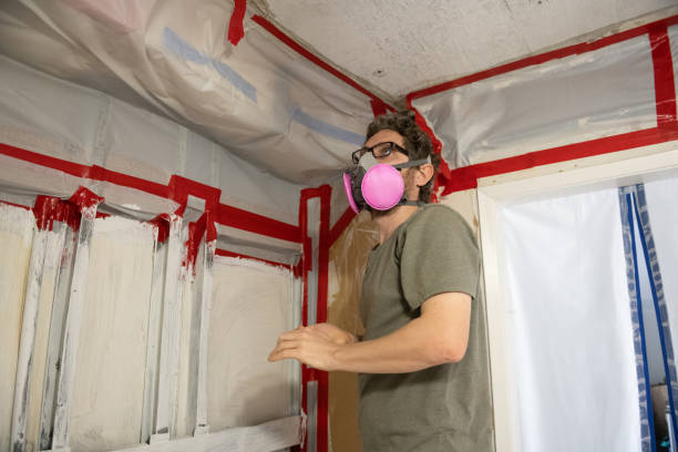 Best Mold-Related Health Consultation  in Fishhook, AK
