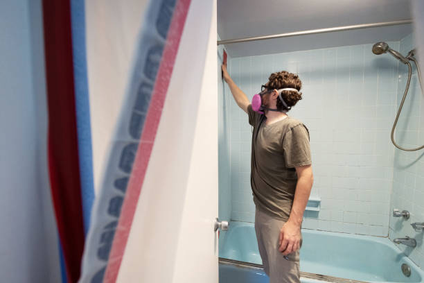 Best Commercial Mold Inspection  in Fishhook, AK