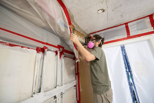 Best Environmental Consulting for Mold Prevention  in Fishhook, AK