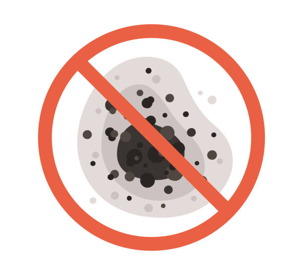 Best Mold Removal for HVAC Installations  in Fishhook, AK
